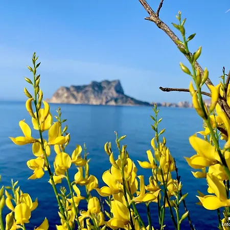 Vh Costablanca - Carrasqueta *